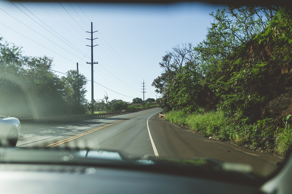 kauai_10.jpg