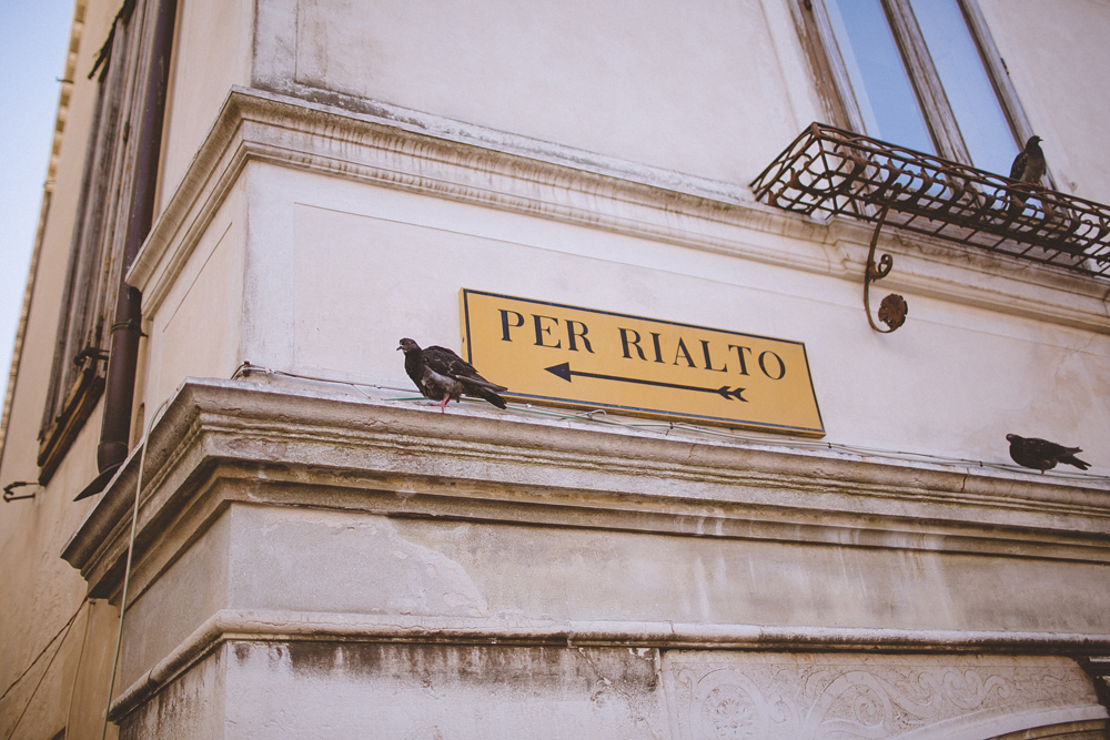 julia-trotti_venice_20.jpg