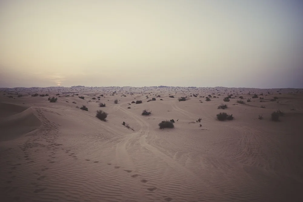 julia-trotti-dubai_55.jpg
