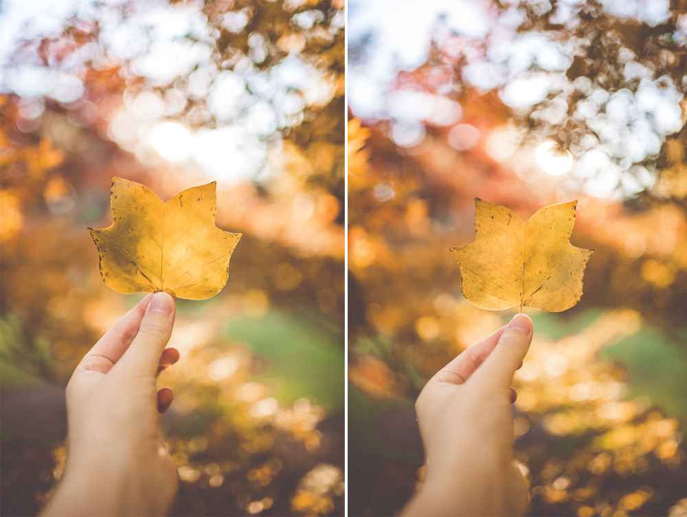  Left: 35mm mki / Right: 35mm mkii  Camera settings:  Shutter | 1/320  Aperture | f1.4  ISO | 100 