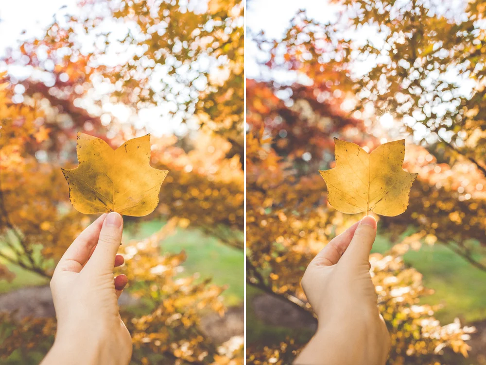 Left: 35mm mki / Right: 35mm mkii Camera settings: Shutter | 1/200 Aperture | f4 ISO | 500