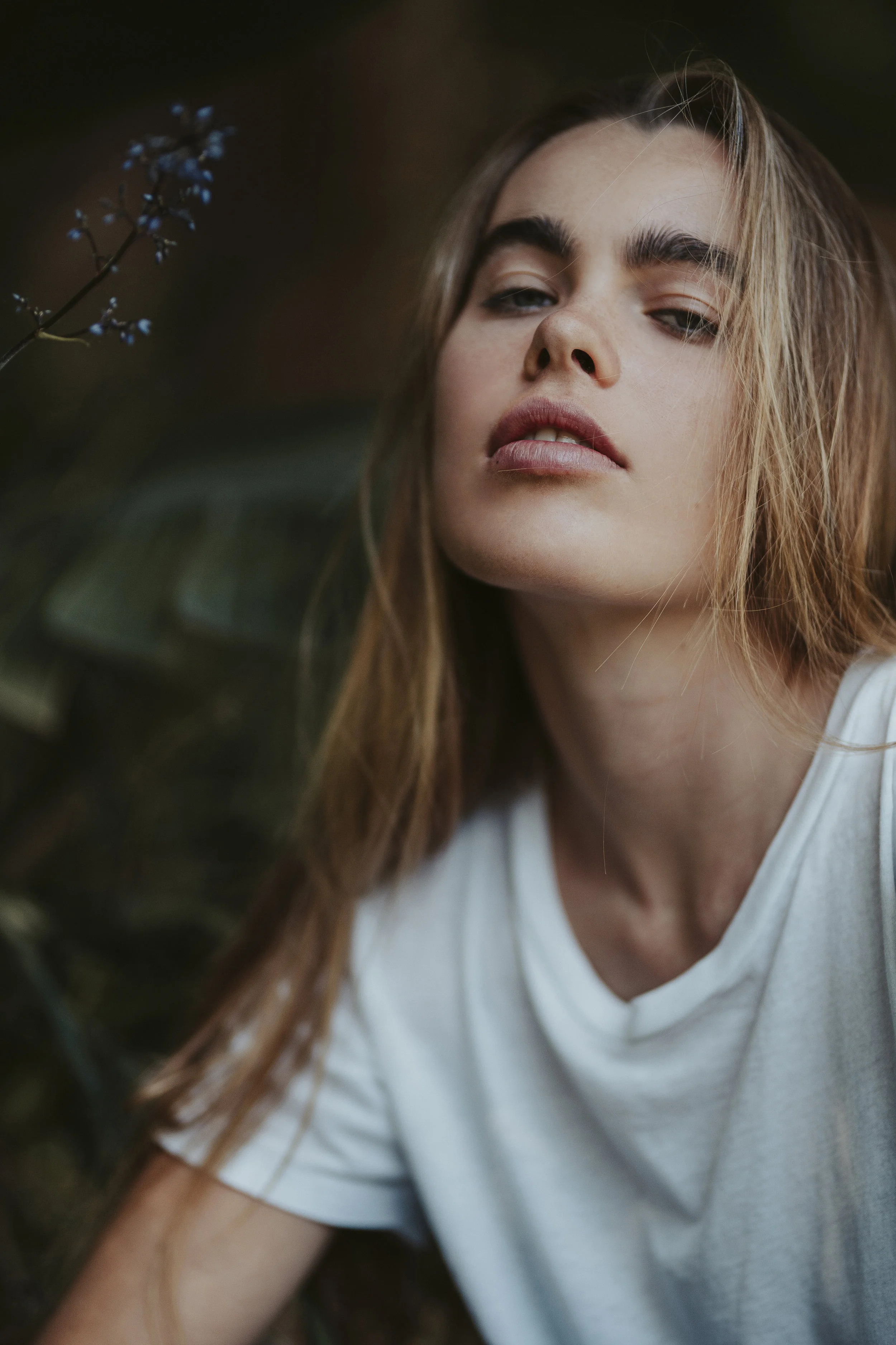 Sigma 85mm F1.4 ART on Sony A7iii