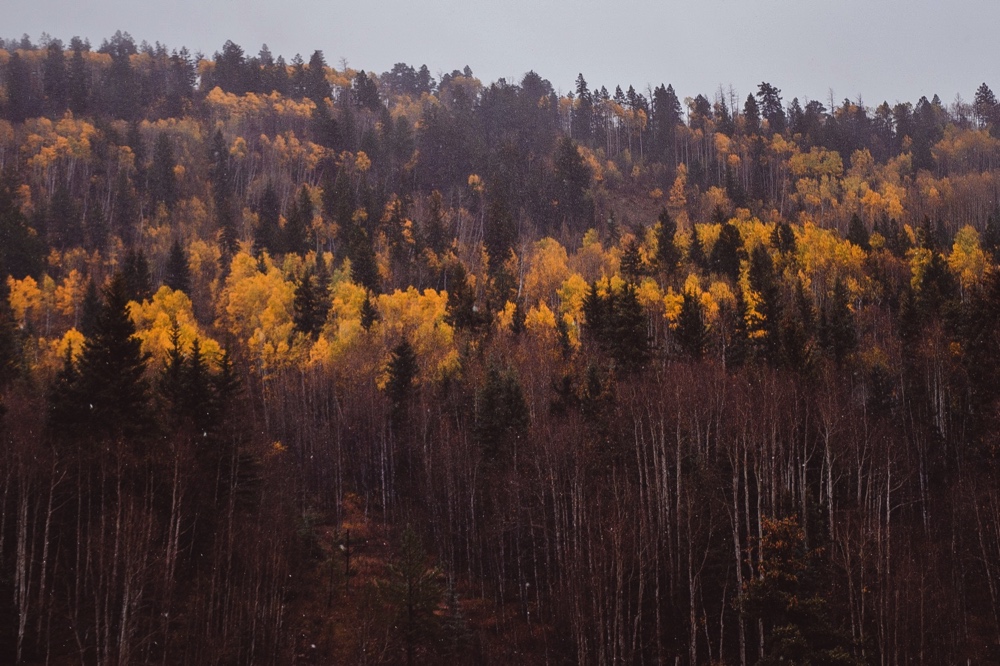 colorado-travel-sony-a7iii_16.jpg