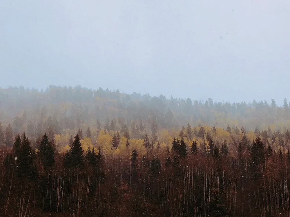 colorado-instagram-diary_17.jpg