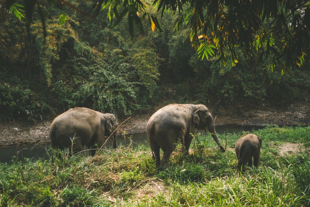 sonya7iii-chiang-mai_33.jpg