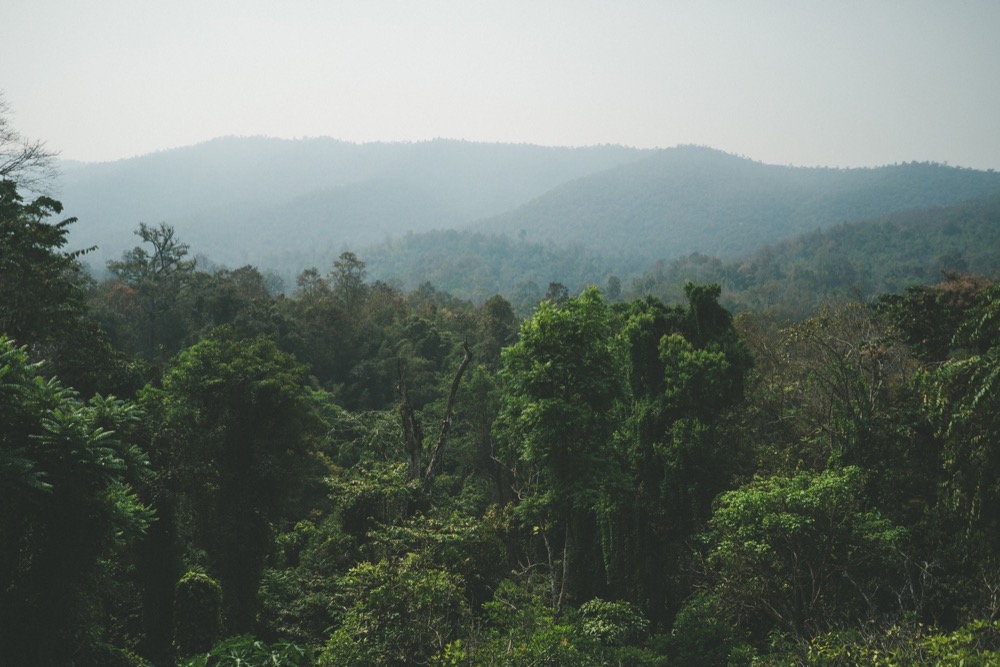 sonya7iii-chiang-mai_34.jpg