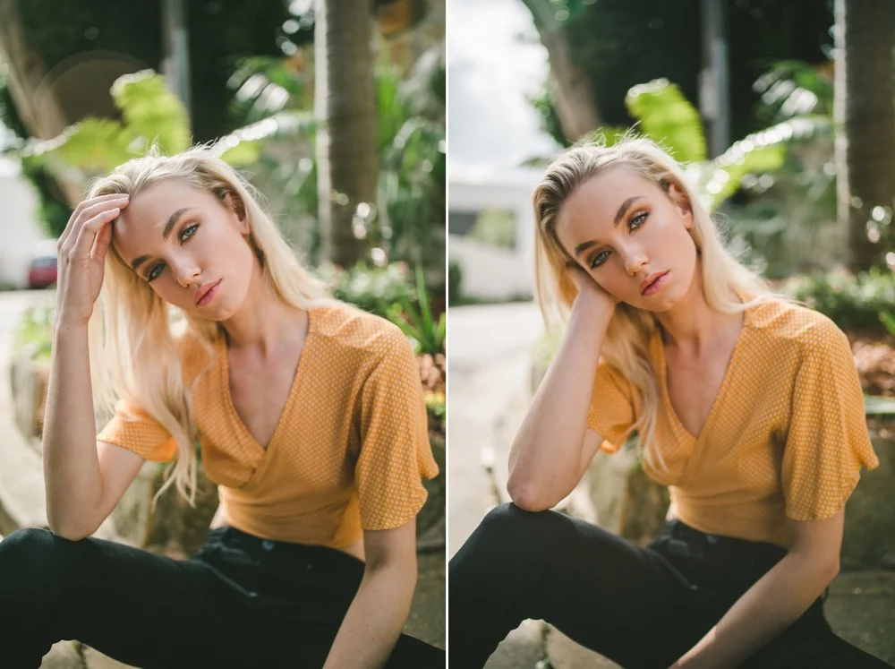  canon // sony 