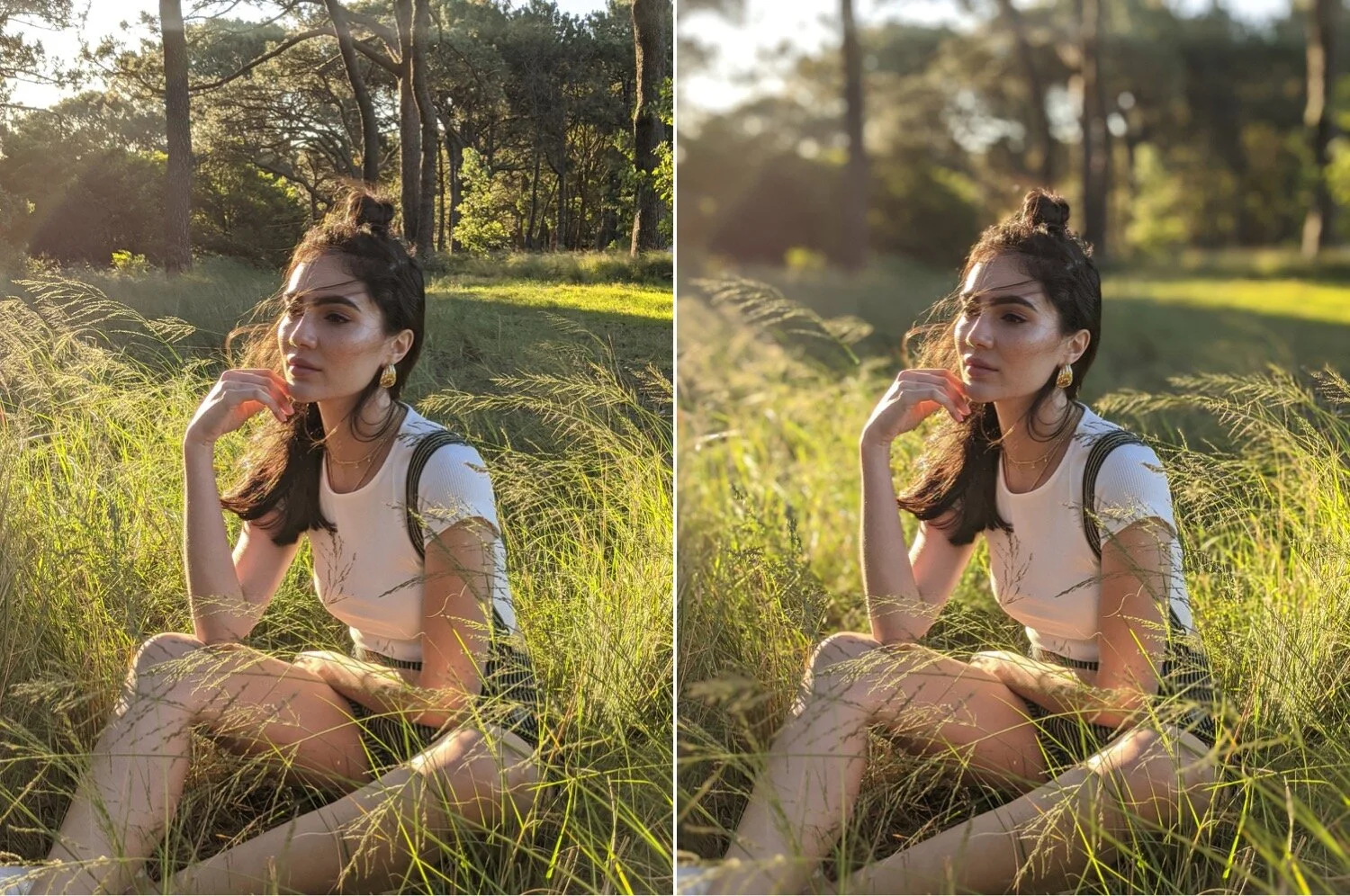 Portrait mode - without blur / with blur