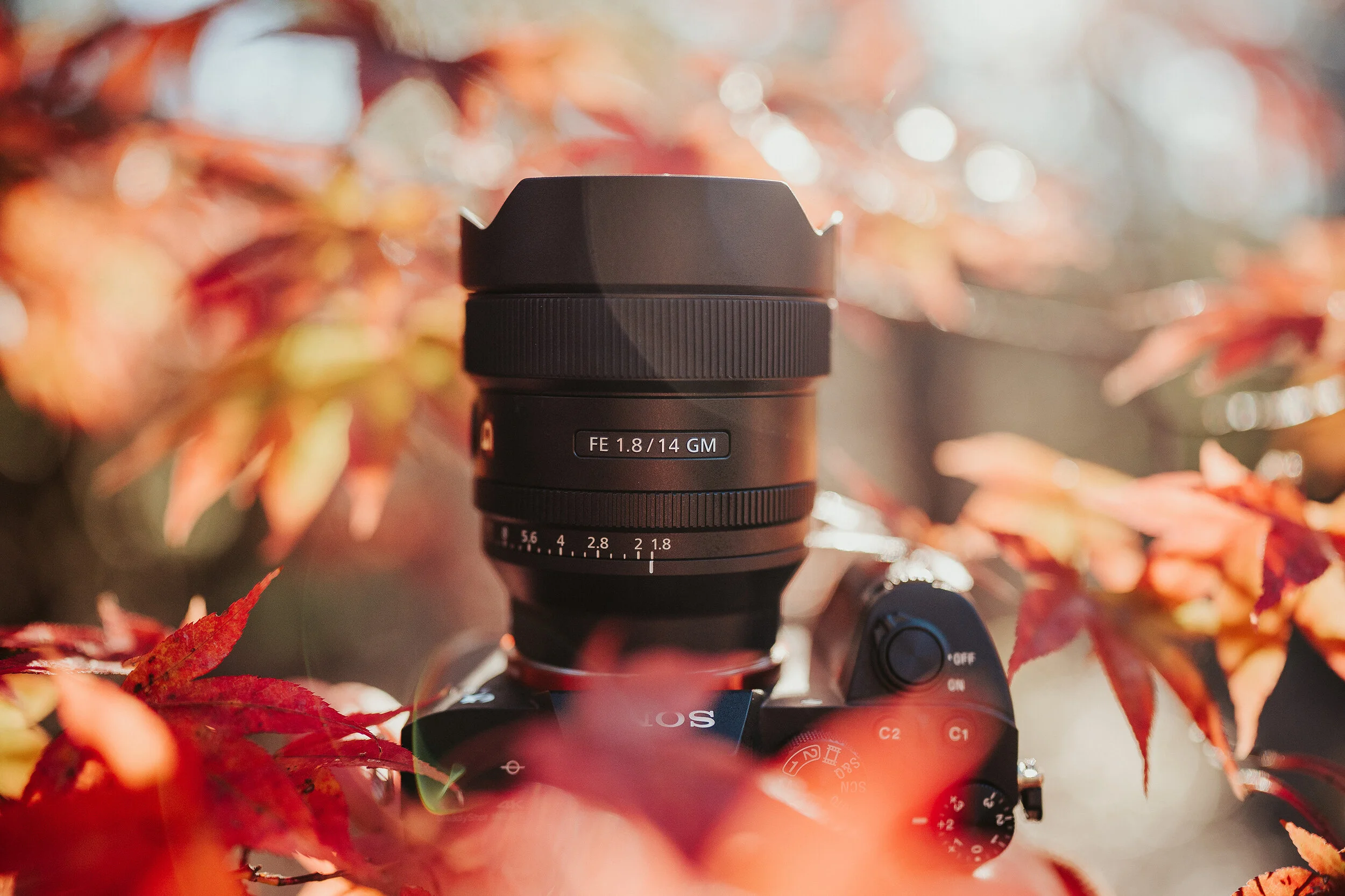 Sony GM 14mm f1.8 Astrophotography &amp; Photo + Video
