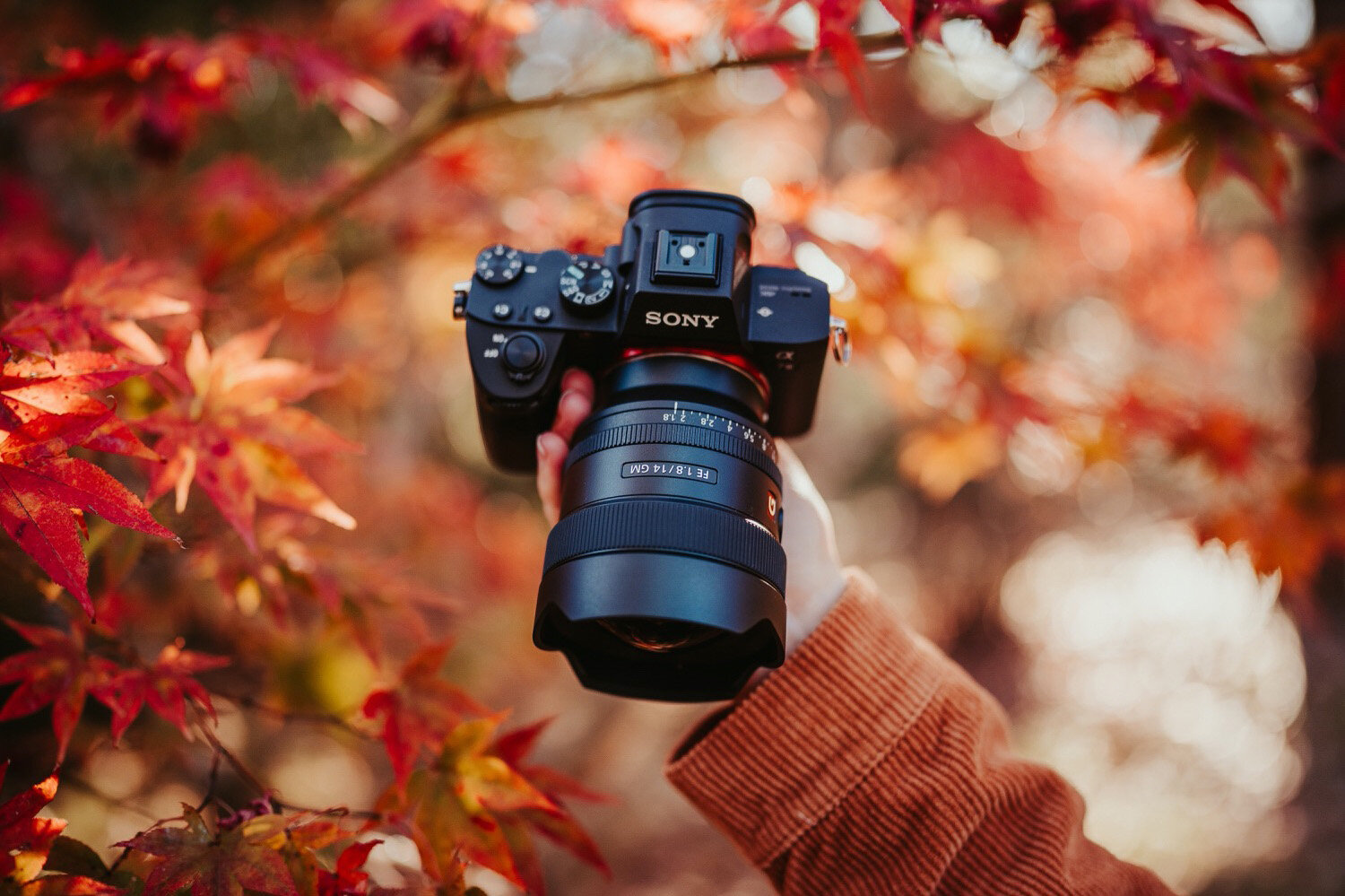 sony-gm-14mm_10.jpg