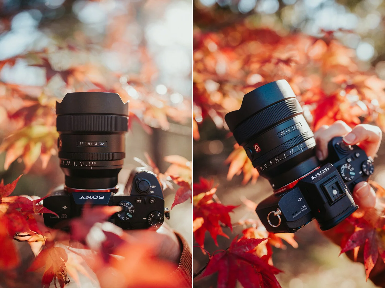 sony-gm-14mm_09.jpg