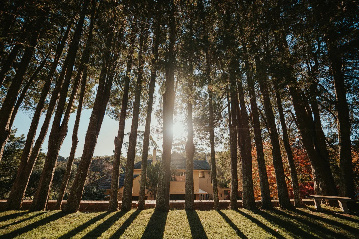 sony-gm-14mm_13.jpg