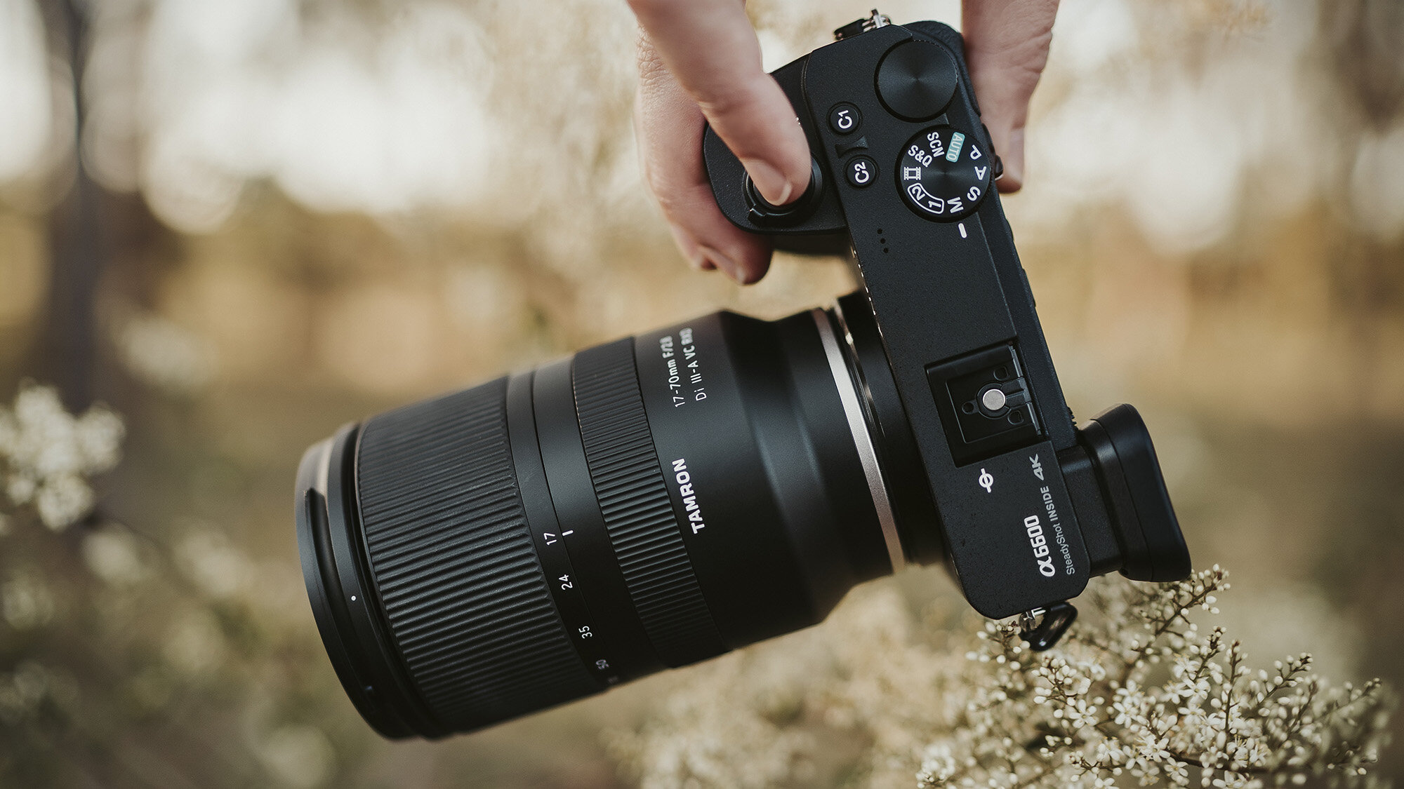 Tamron 28-200 f2.8-5.6 Lens Review on Sony A7III — JULIA TROTTI ...