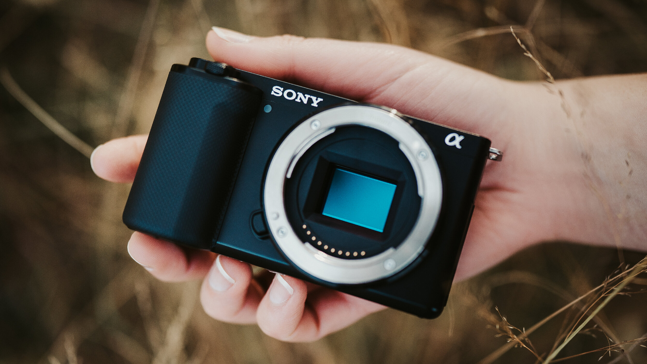 Sony ZV-E10 review - Amateur Photographer