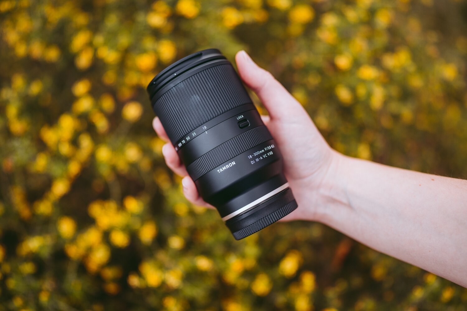 Tamron 18-300mm f3.5-6.3 and Tamron 11-20mm f2.8 lens for Sony E  Photography REVIEW — JULIA TROTTI | Photography Tutorials + Camera and Lens  Reviews