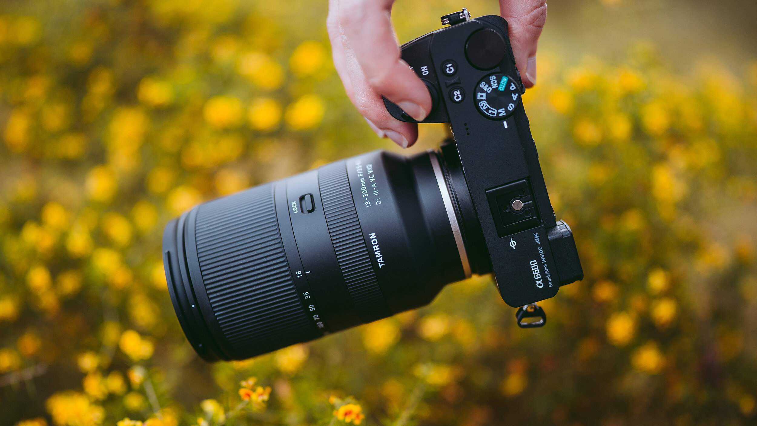 Tamron 28-200 f2.8-5.6 Lens Review on Sony A7III — JULIA TROTTI 