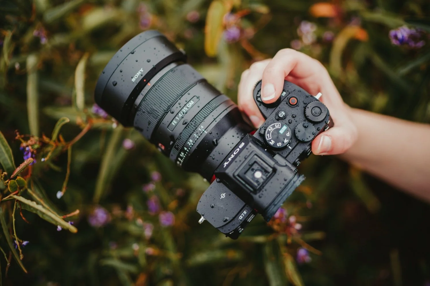 Sony A7IV Photo and Video Review — JULIA TROTTI | Photography 