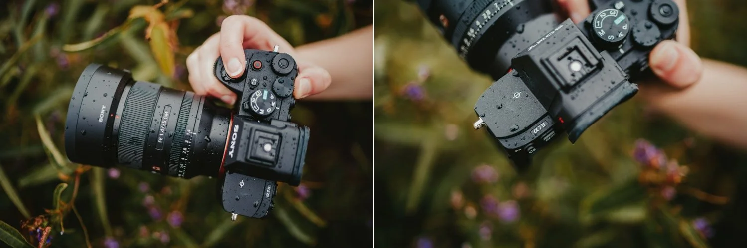 sony-A7IV-photo-example.jpg