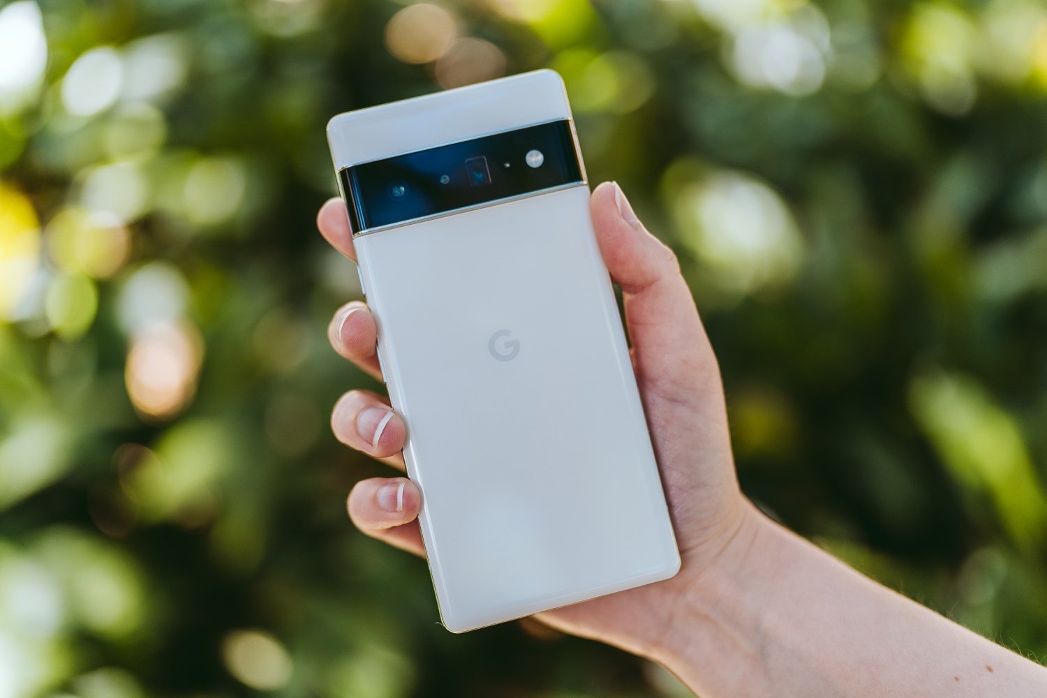 Google Pixel 6 Pro Camera Review: Download Sample Gallery — JULIA ...