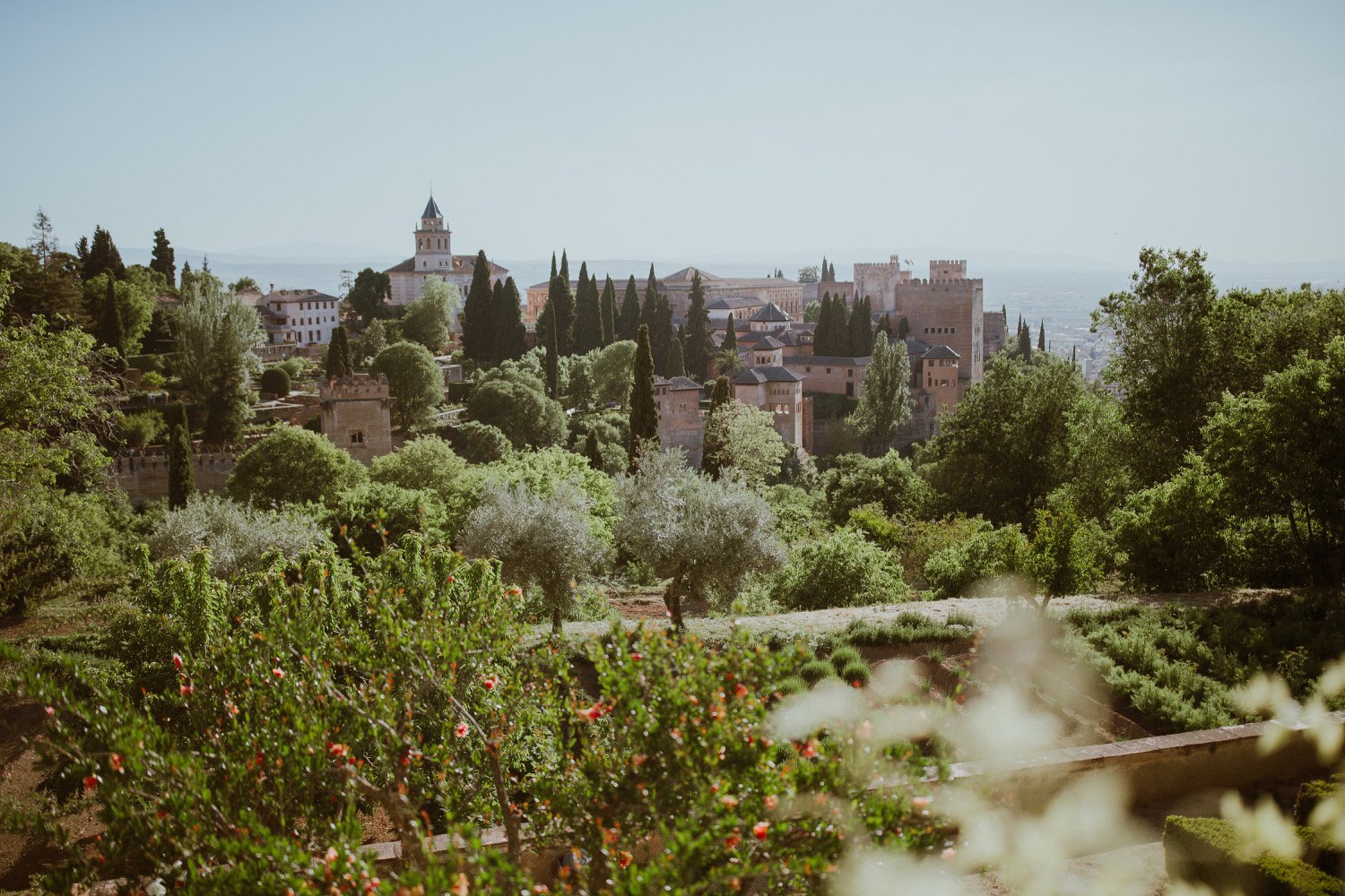 granada-a7iii_01.jpg