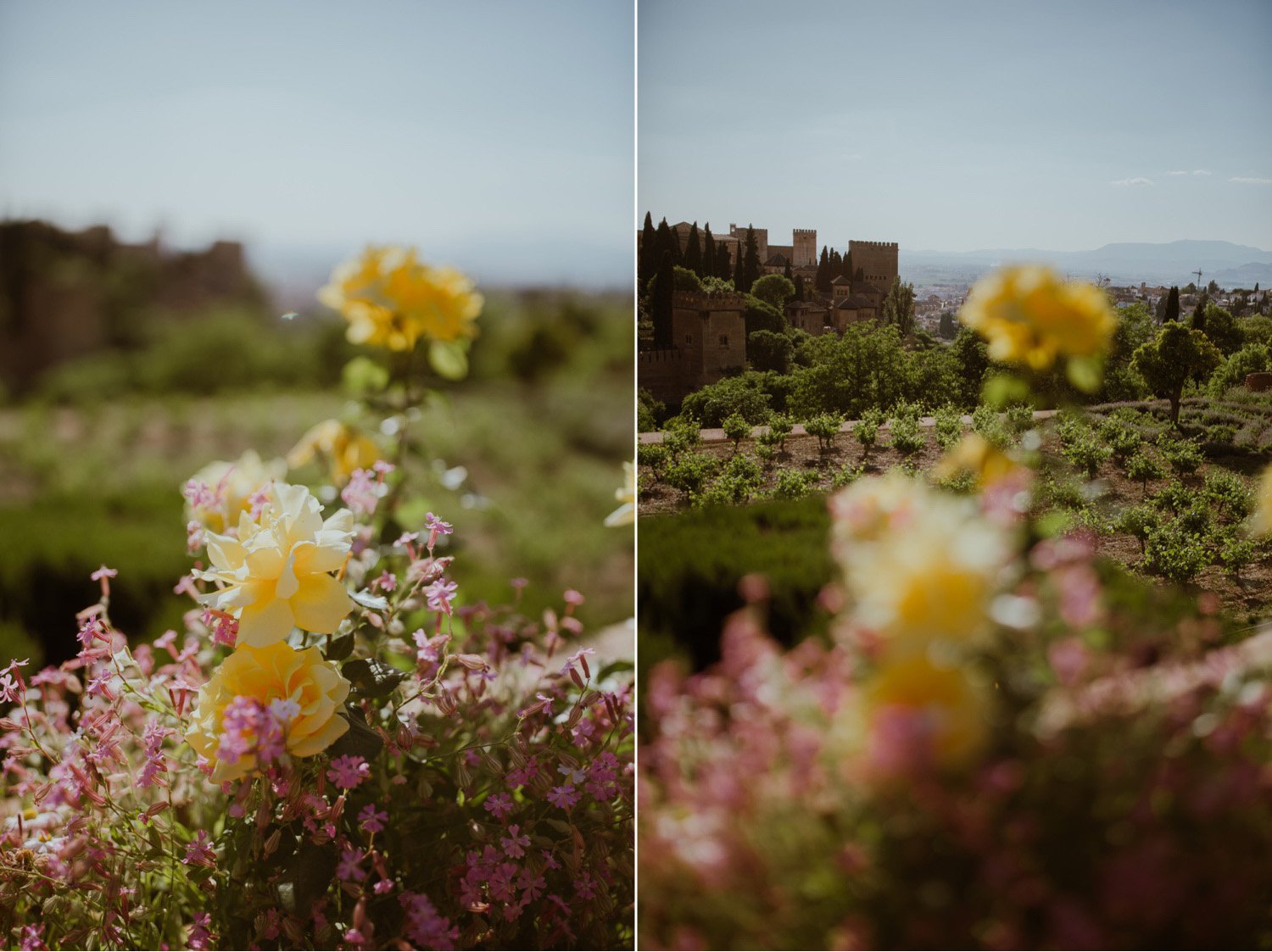 granada-a7iii_09.jpg