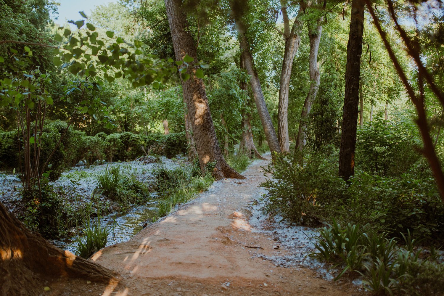 granada-a7iii_22.jpg