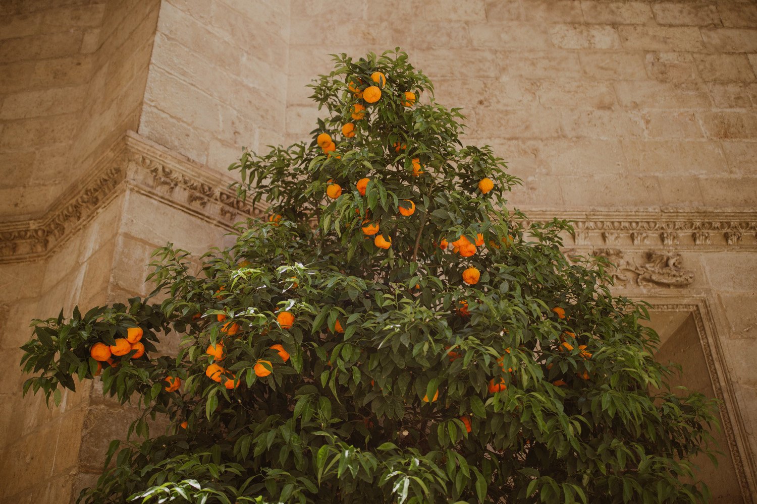 granada-a7iii_33.jpg