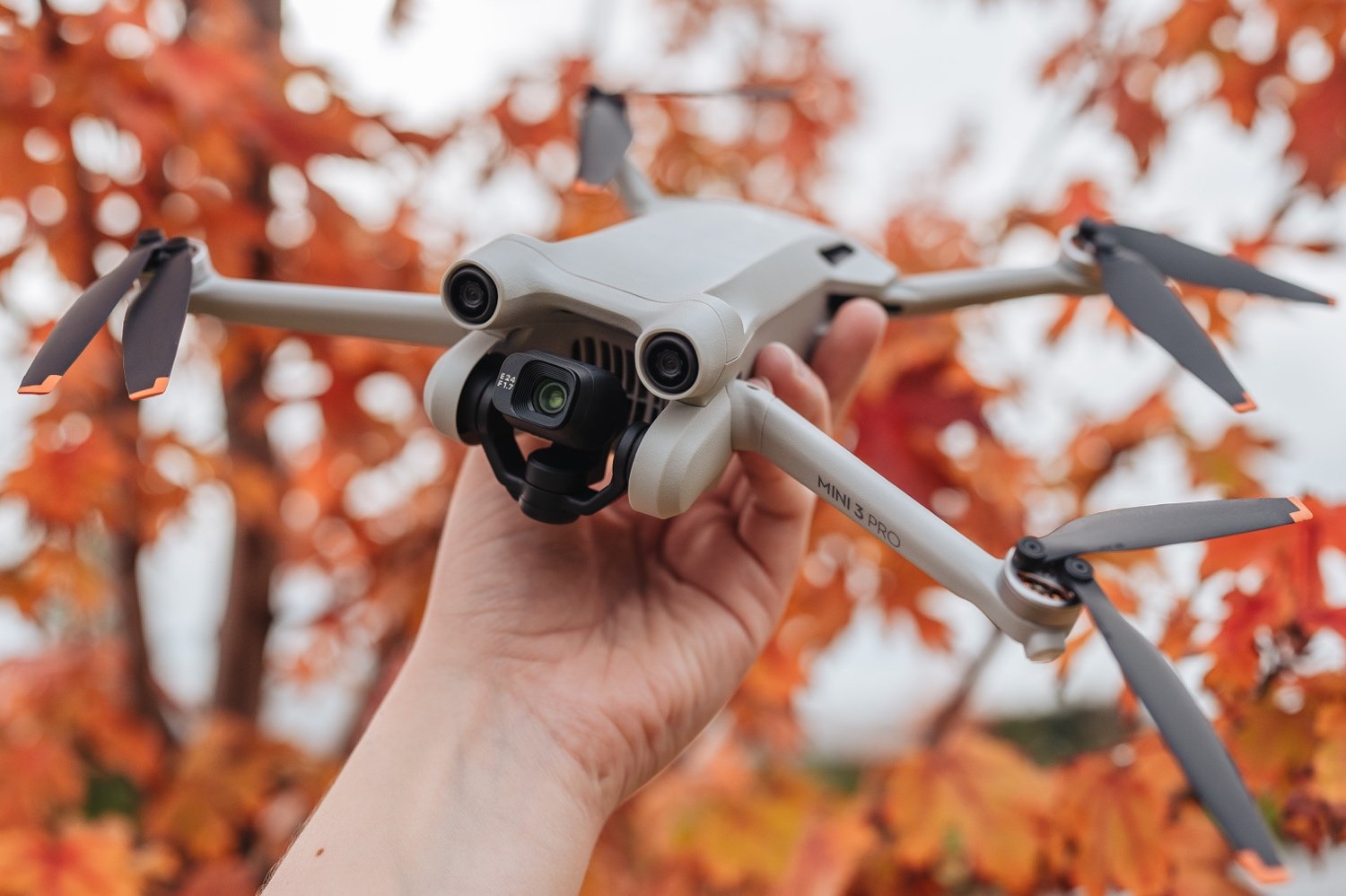 DJI Mini 3 Pro True Vertical Mode - Photo and Video Review — JULIA TROTTI |  Photography Tutorials + Camera and Lens Reviews