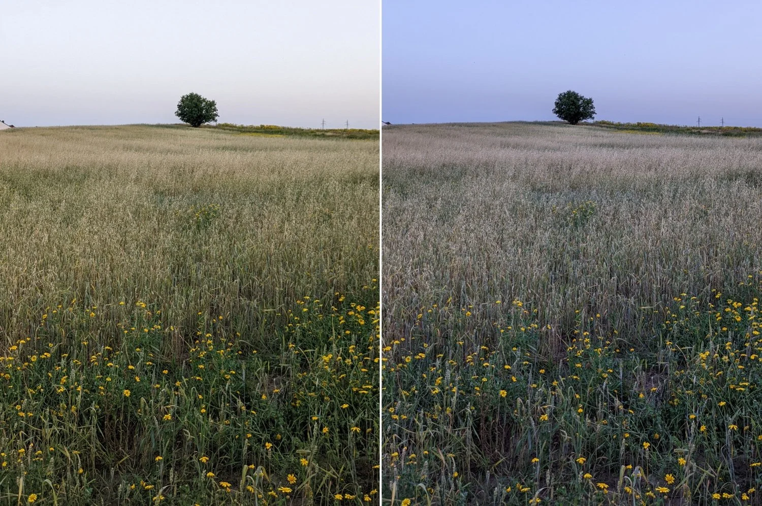 pixel-6a-camera-test_22.jpg