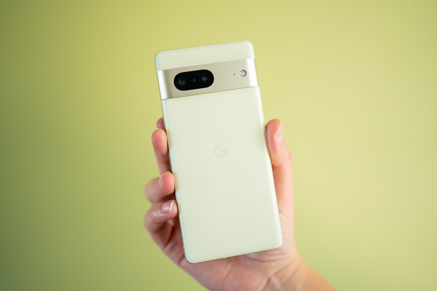 Google Pixel 7 Camera Review — JULIA TROTTI