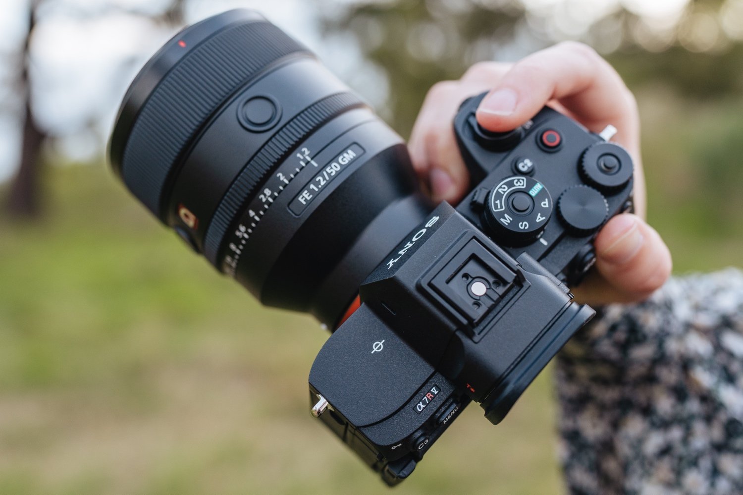 Sony ZV-E10 Real World Review - Photo and Video Examples — JULIA TROTTI