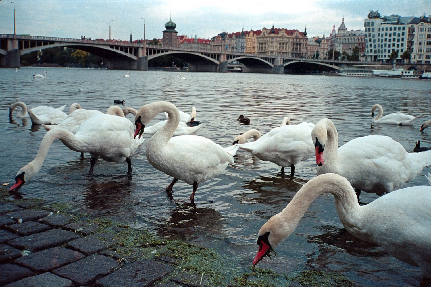 prague-35mm-film_13.jpg