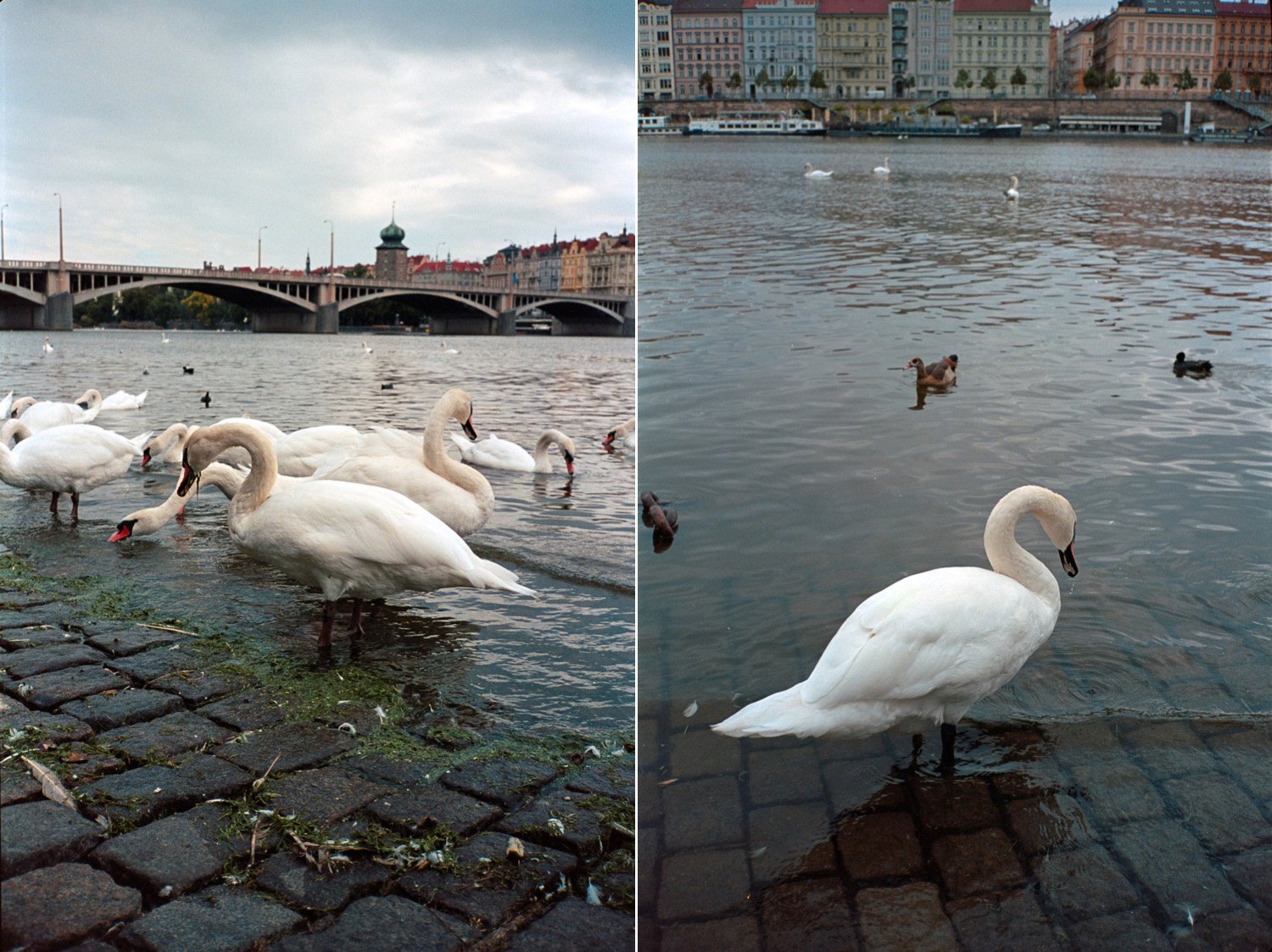 prague-35mm-film_14.jpg