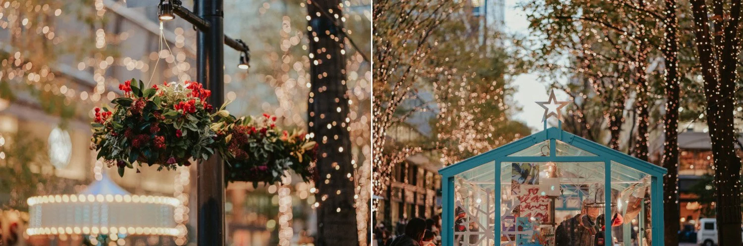 lumix-s5ii_20.jpg