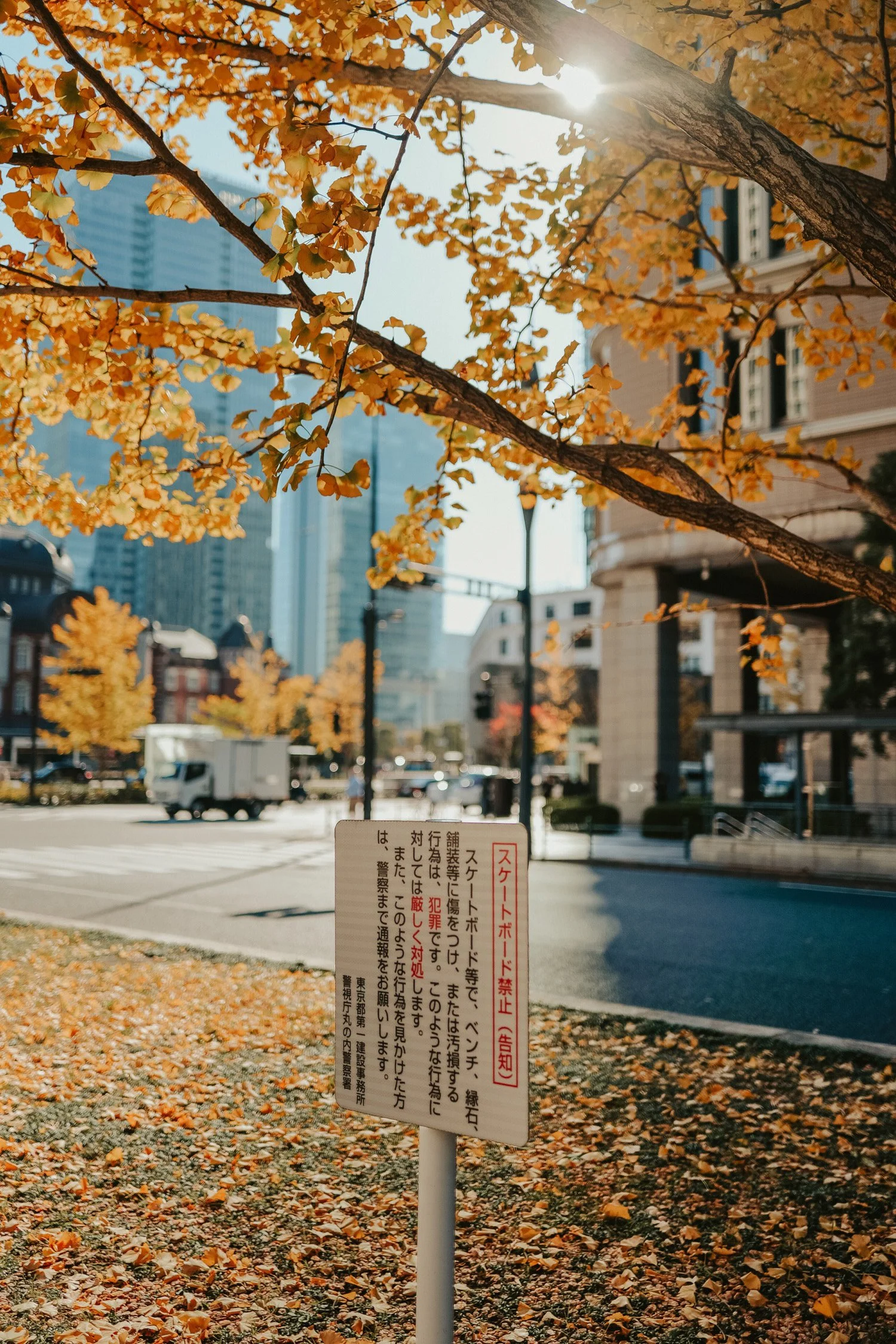 lumix-s5ii_24.jpg