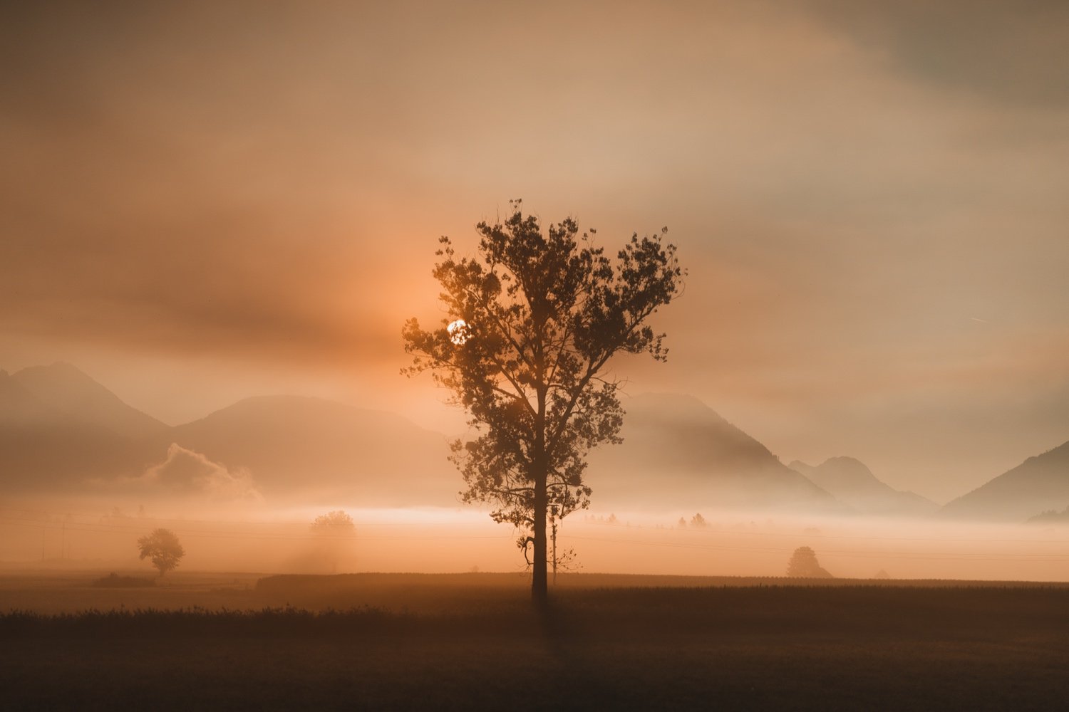 a7iv-sunrise-fog-photography_20.jpg