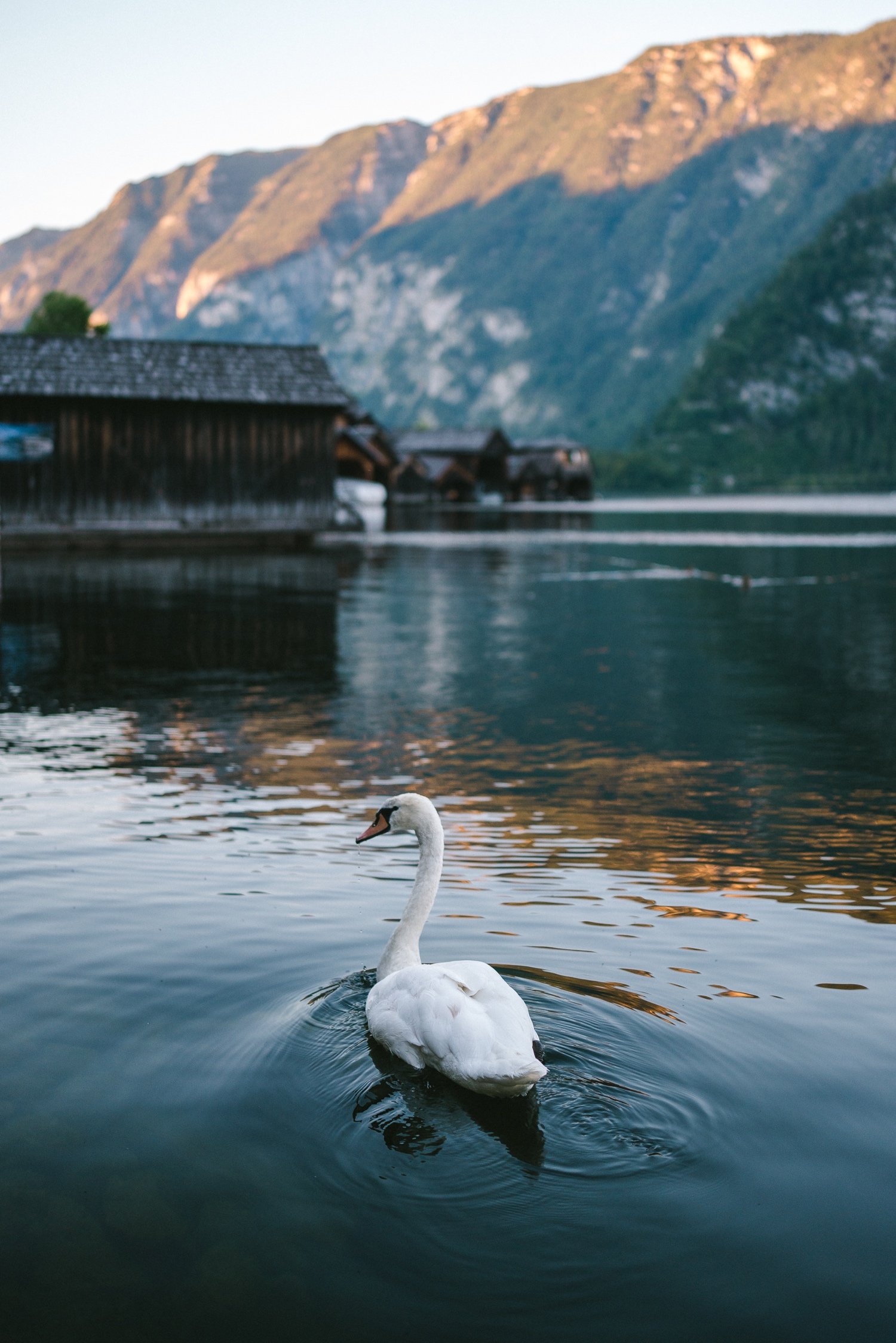 sony-a7iv-hallstatt_22.jpg