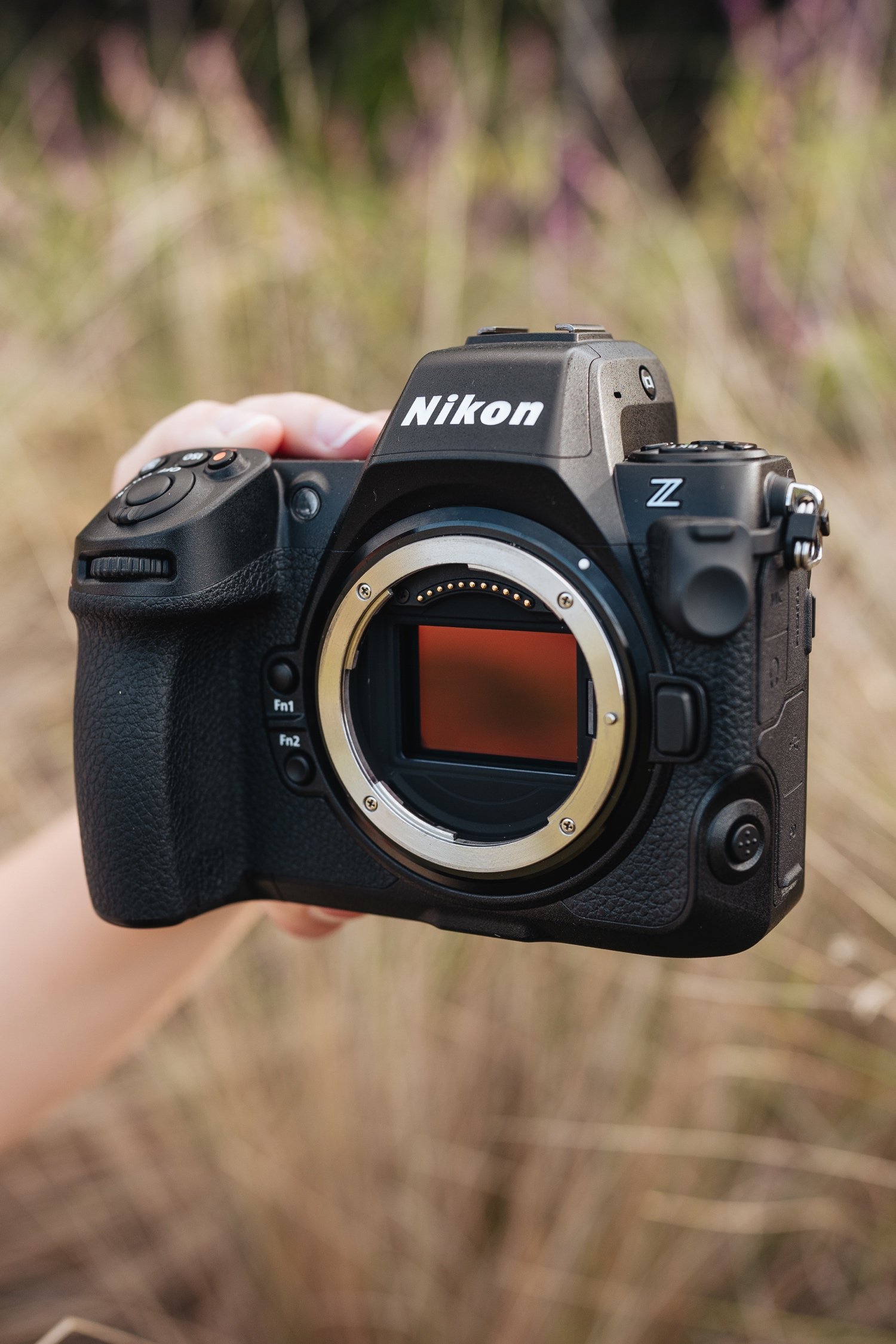 Nikon Z8 Gallery - The Photography Hobbyist