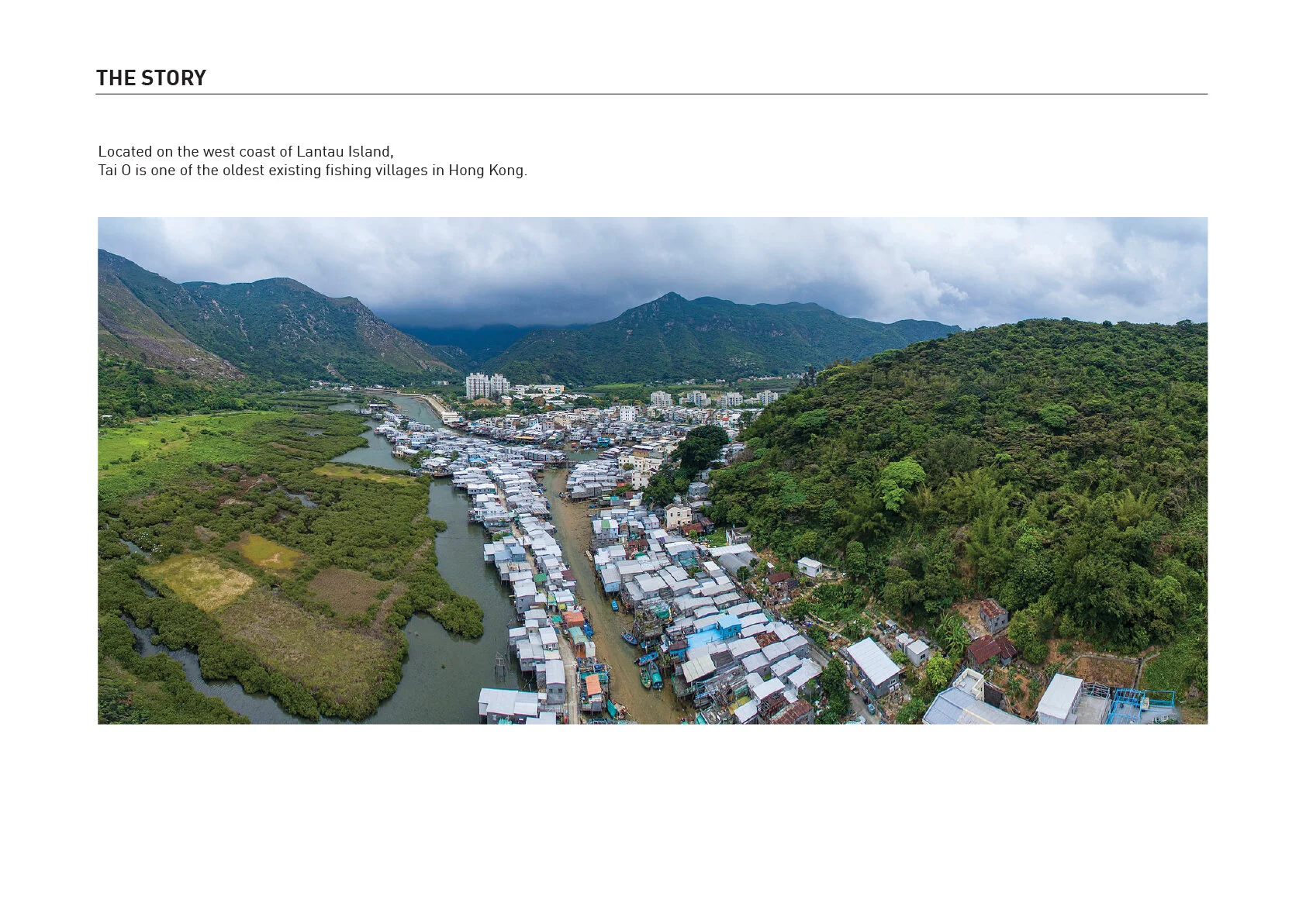 8Artboard 2@2x-100.jpg