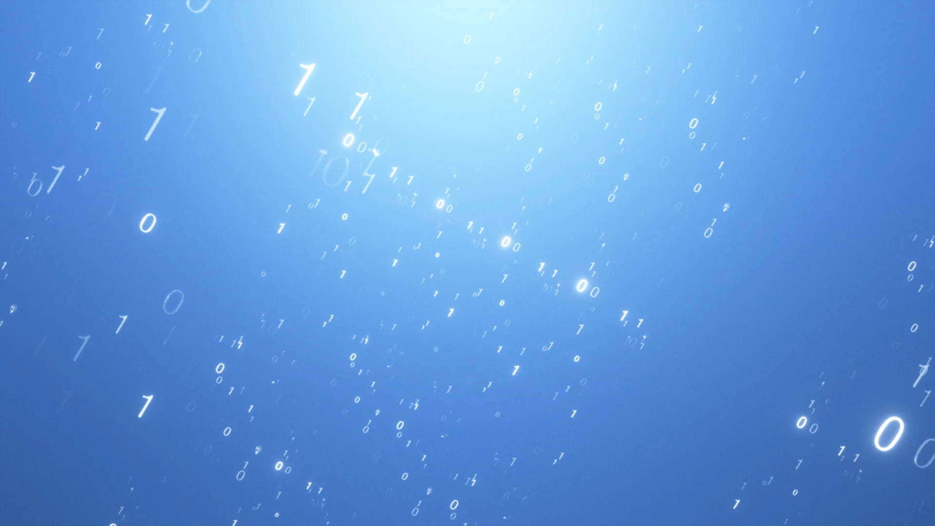 PLANIT_IDENT_V02 (00204).jpg