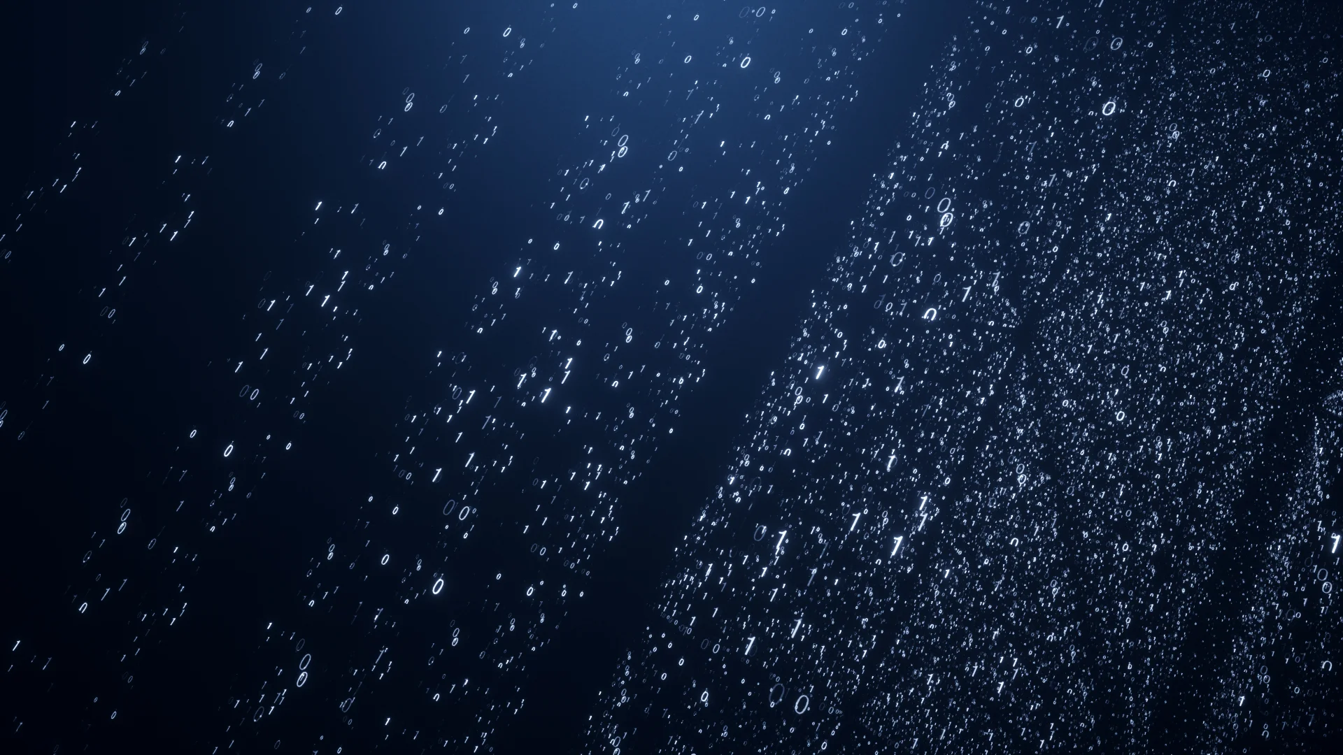 PLANIT_IDENT_V02 (00296).jpg