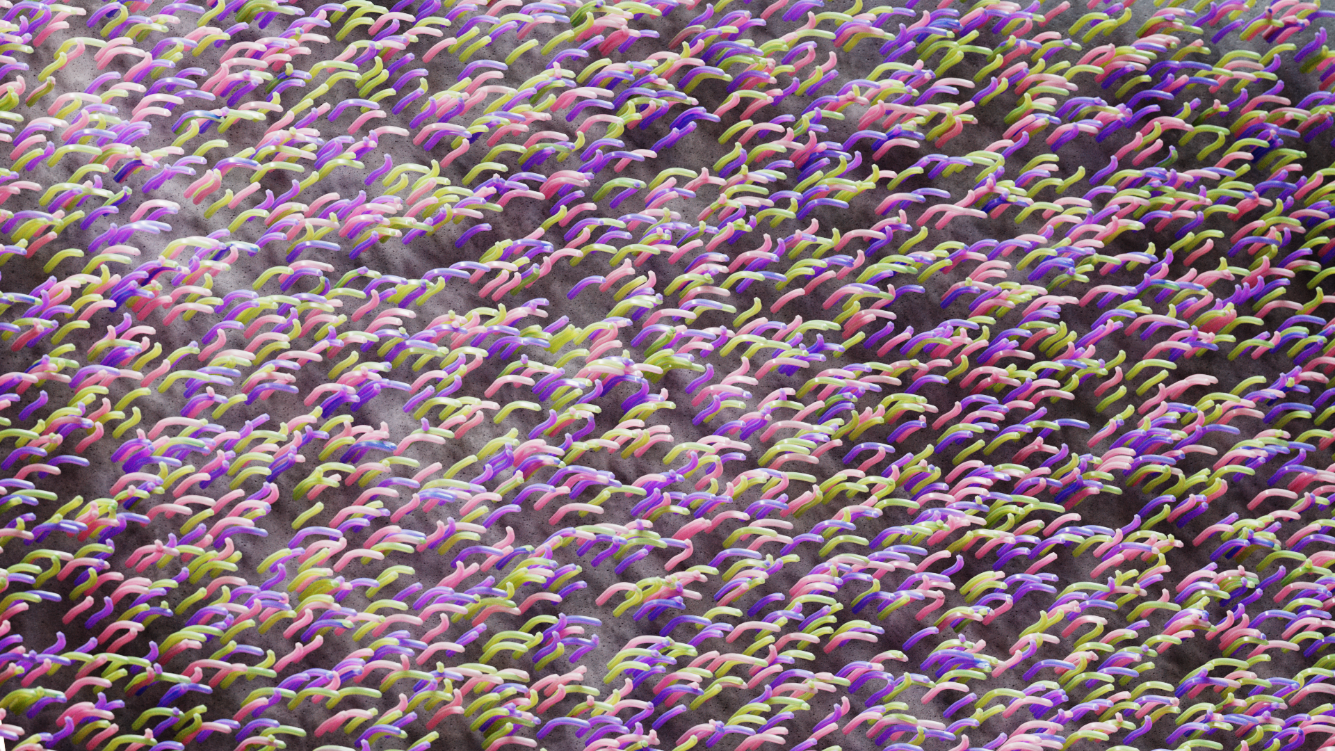 WASHING-LINE_TENDRILS_01_0130.png