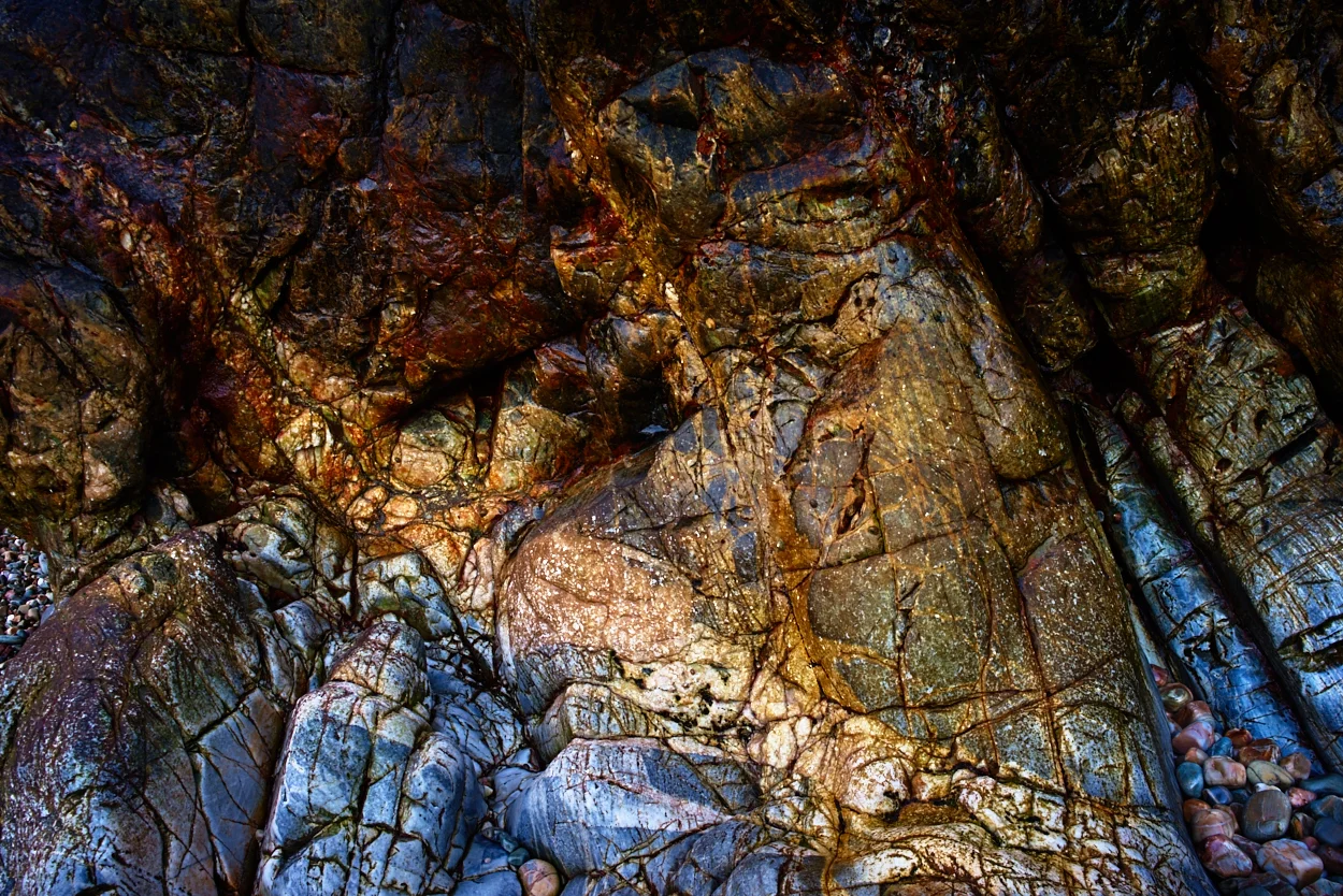 _IMG5614.jpg