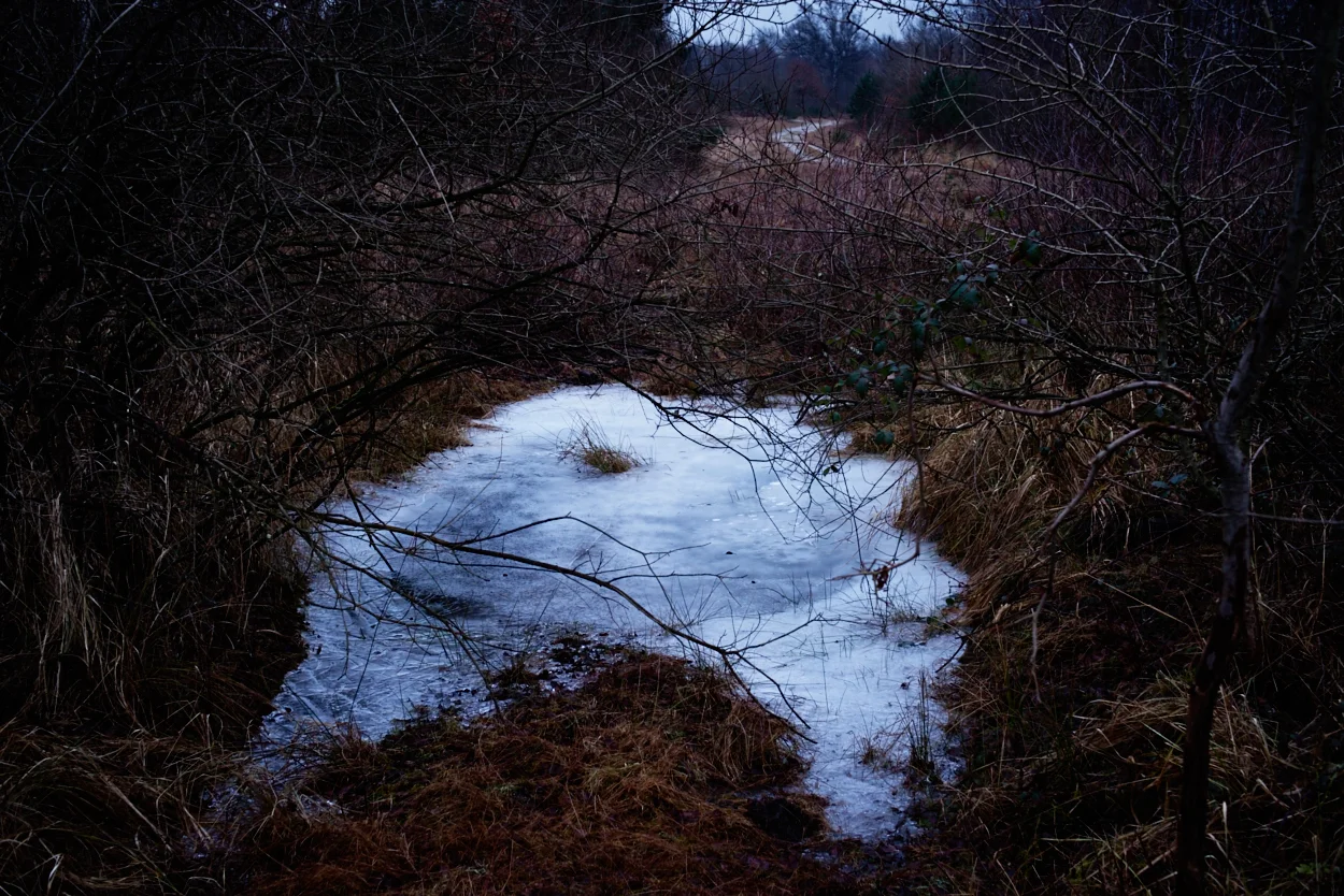 _IMG5916.jpg