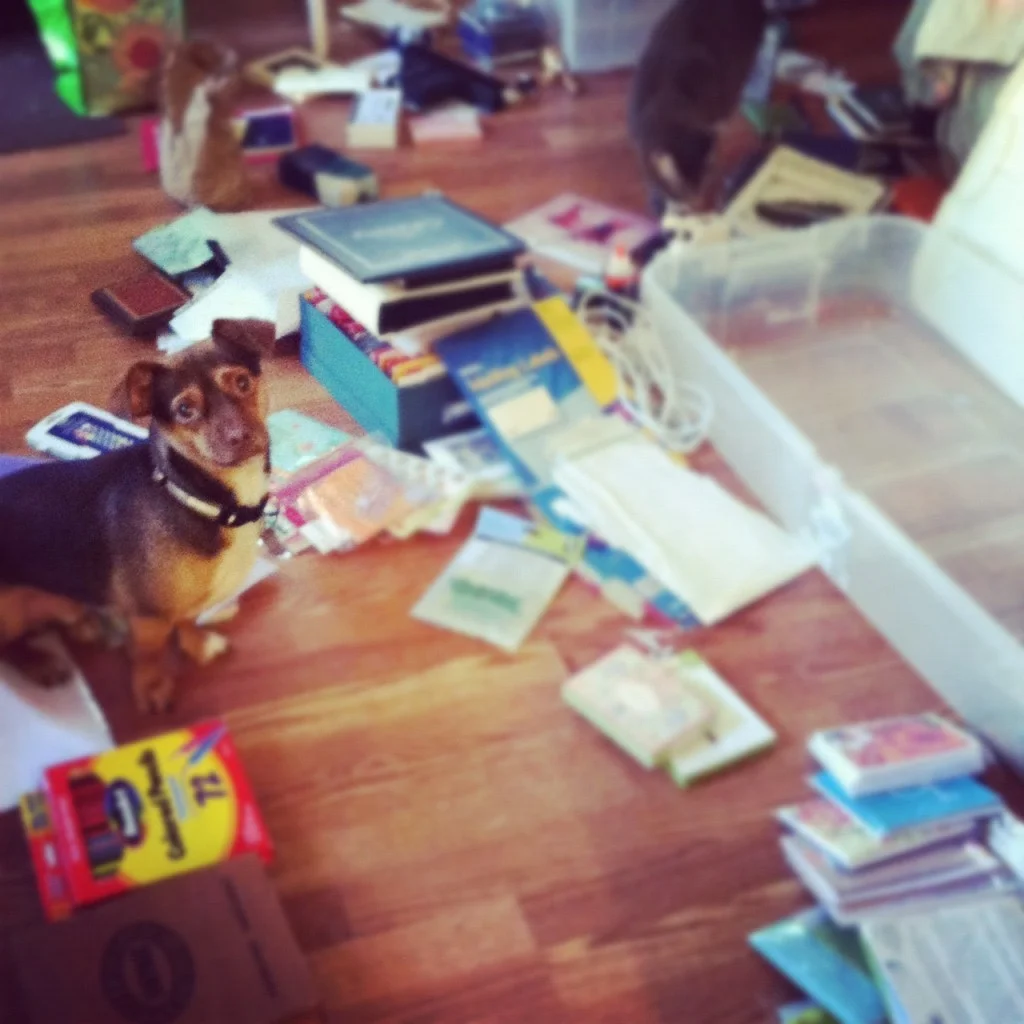 clean up and Rudy