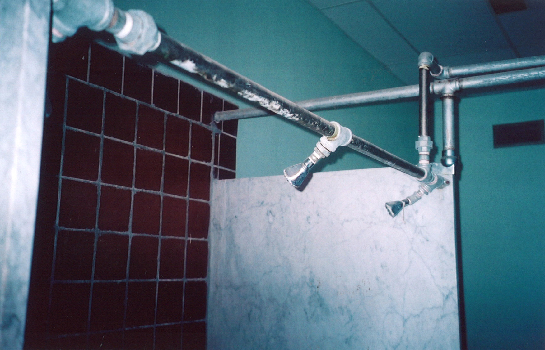 Communal Showerheads. Photo: Thelma Wheatley.