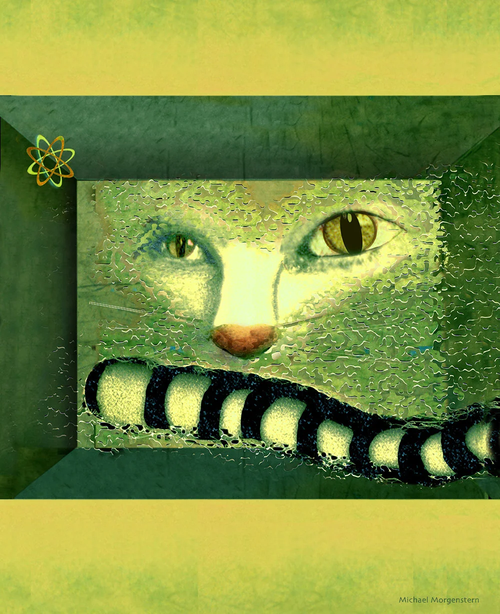 Schroedinger's Cat