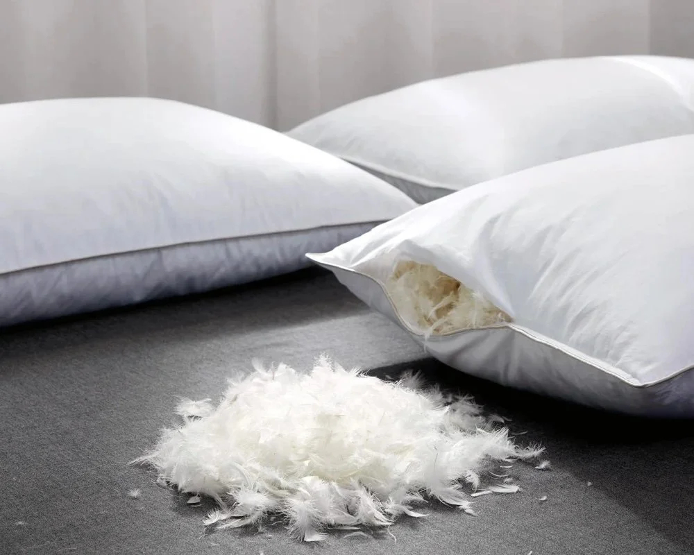 Down feather pillow insert open to reveal natural feather and down fill — illustrating feather migration in quality pillow inserts