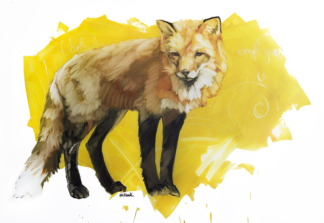 red fox on yellow web.jpg