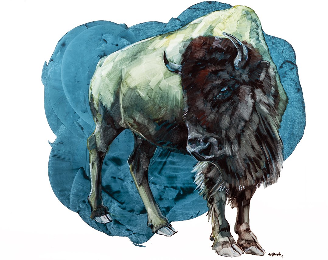 blue bison better web.jpg